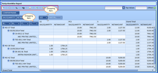db view pivot grid.zoom50